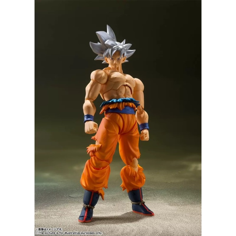 Bandai Tamashii Nations S.H.Fi - Bandai Tamashii Nations S.H.Figuarts ulasan dan harga